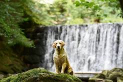 bb3bf1bea36ad27caedf3531c4262cf1_246