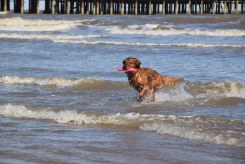 bb5a2bda0a8b3e1c6f9f619808bd975c_245