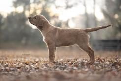 bb61e07036bfdd0e6f8c6f8b9b950f9b_246x164_fill