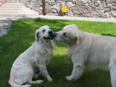 bb7df0d7db18439816a176e520f77fbd_461