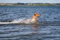 bb8cbe1e1fb6e287ee1f7bc810e1bfd9_245