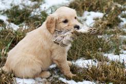 bb9cffcfa6e8127aed0cb41cbe9fec51_245