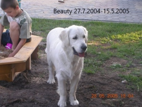 bbd88be527b4e9acfb346612dd813b48_461