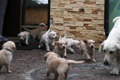 bc42b29ca96555ff4b4f1459e785e2f5_245