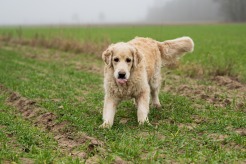 bc5b779e783cf3b22884788bdbe76cfb_246