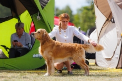 bc7fd7282c3dd1e02aeb444ea73aa4a3_246