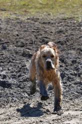 bcf66ddbe0db921afc6db20d4a30d550_164x246