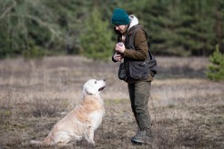 bd4d2a711f7f0656053a4fd63eeac56e_246