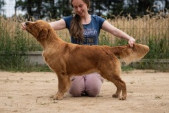 bd50997fdb2c926d2468959707a99a59_246