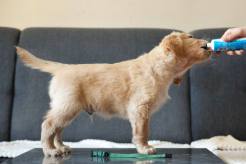 bd5582f40240e050d0d1c55d5f8f12c3_246