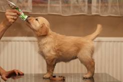 bdd84b7d62525cf95e991d4372beaaf5_245