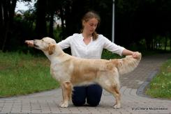 be0dc025adeba261faf52203cb9cfc03_245