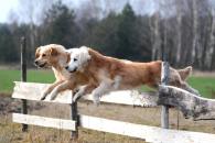 be19133d5458c46e26fbd1c73b8c8a44_195x130_fill