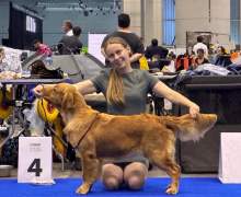 be632a80b9e267dee04088506d834dbb_220