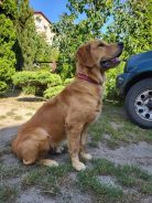 be6a4a230f3cc814a33c7c0e633a3b33_138x184_fill