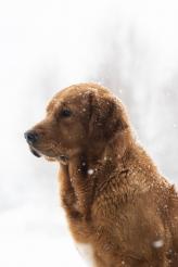 be6f75590720625d85f840a5c5c779b9_164x246_fill