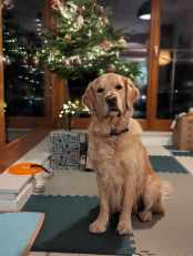 be7cceaee8935f69729fc93040787032_174x231