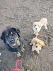 be814ffb9d13191b43ced92eab2cf03a_174x232_fill