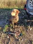 be8ac87abeccc30ac2ed95011de9b3f8_138x184_fill