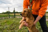 beac652a7799187aa2eba22686652e2b_194