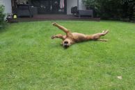 beb67a83f6a97a0e5be47f2c5078438b_194