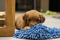 bed30cd9bd18ca002444eeb964cb1154_195x130_fill