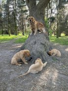 bf2e37809f164daa49e1571571a99c94_138x184_fill