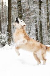 bf42a74885cdf7d8dc97e1f67c5d6858_164x246_fill