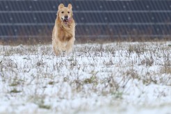 bf7fe0567ee0b8e3ac1dd7c1a2a74c36_246x164_fill