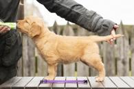 bfc599d5e7f0b2828e23a782a9182f0a_195x130_fill