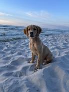 c023a9c003a186a0120824ec38efa7eb_138x184_fill