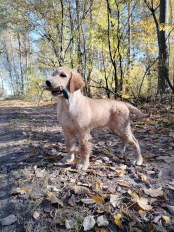 c02f4c37fb57fa7503bc76eba91af654_174x232_fill