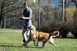 c05376d7f37084774033f96a6e5575ae_246