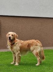 c05df0700d968c28a7711aae958fc834_172x234