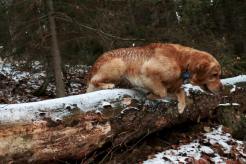 c0772241b957ab4ca35837ddb997a4fd_246x164_fill