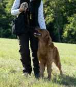 c07ce008c8f2be266ccc7e31fbe80e12_148x171