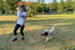 c08cbfcc46f81e2be51075225582f9a8_246x164_fill