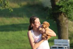 c0d41884fa04bf924aee1ef0f1843e41_245