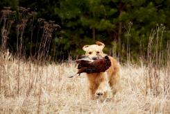 c0f1d2615e186d7d9eaec8aff0763e43_245