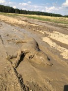 c13f44a42bd97bd86f3d026975422a15_138x184_fill