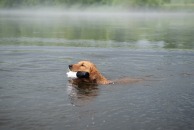 c14cc92806135fb0908618da92fc9f58_194