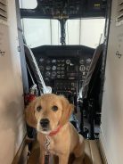 c1758e387aa1ee9401976b56862e0193_138x184_fill