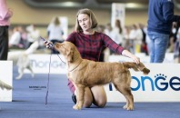 c18537484149994e83702700a4cd09c1_198