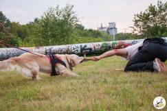 c18847568e8b6cef8594feab69de25c3_243