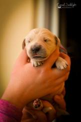 c218fb9c3db6da59a15f8870d595ec19_162x244