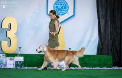 c22fae1ae0cc19cba582da78f32e3fb9_249