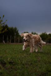 c23b6441c8dcab973361cefa1a78cbb3_164x246_fill