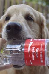 c26405cad828cddf3f3ac14a7009baf6_164x246_fill