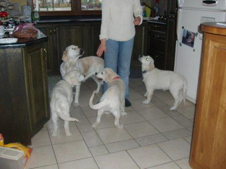 c270d8635ca31db748f3c353c3c48f88_461