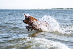 c27d6b5447175e3e5c6bd14d81c22c78_246